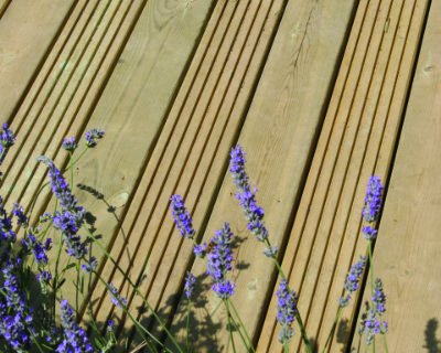 Timber decking photo of the Hampton Court Flower Show 06